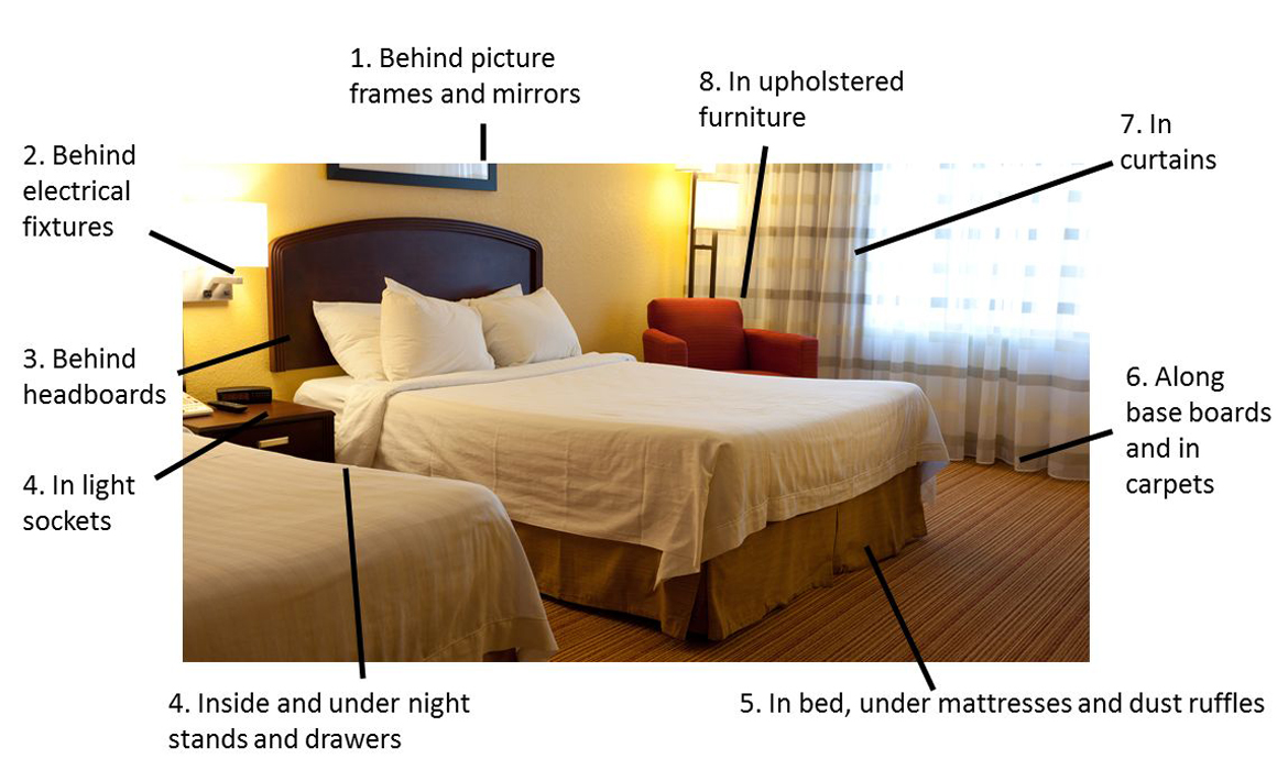 Our Blog post image goes here