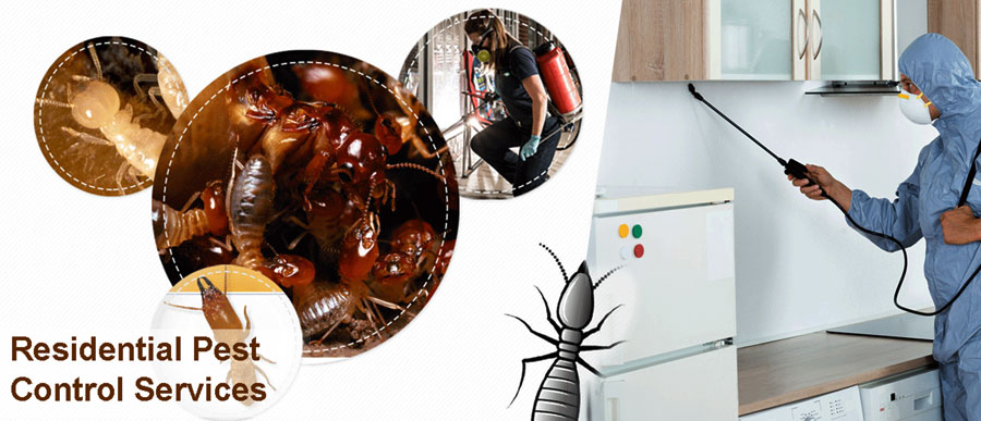 Pest Care Control
